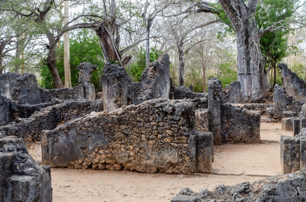 Gedi Ruins Tour